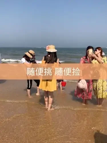 快手扶持手机卡政策详细解读与办理指南，流量优惠助力创作者