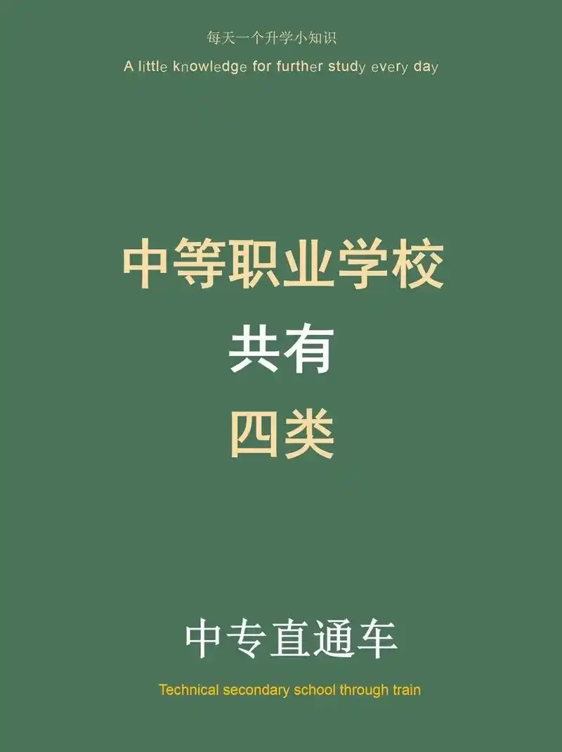 中职校园手机卡办理指南与选择策略，适合学生的优惠套餐推荐