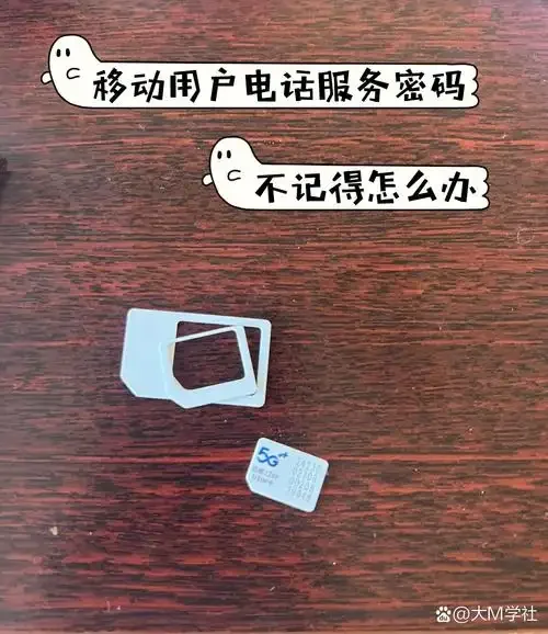 手机卡注销服务密码查询与重置指南，操作流程解析