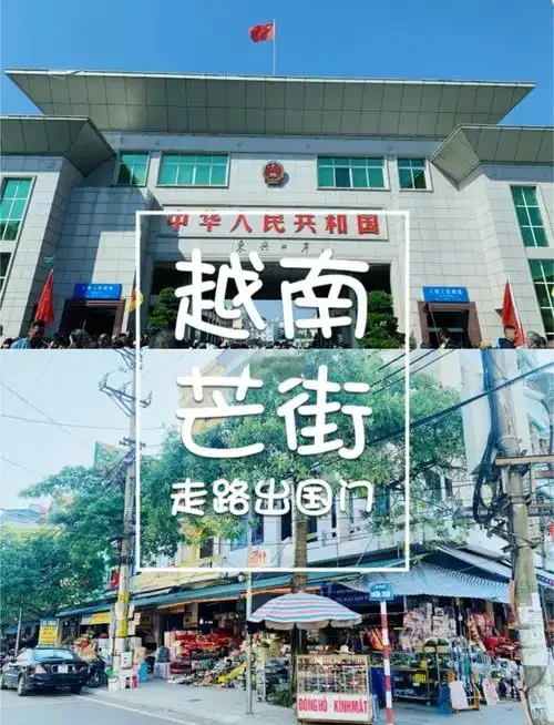 国内手机卡去越南使用全攻略：信号资费与注意事项详解