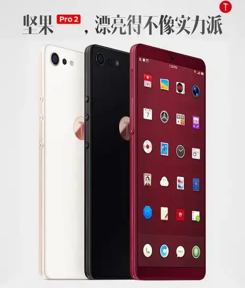 坚果pro 2手机卡选购指南与解决方案全面解析