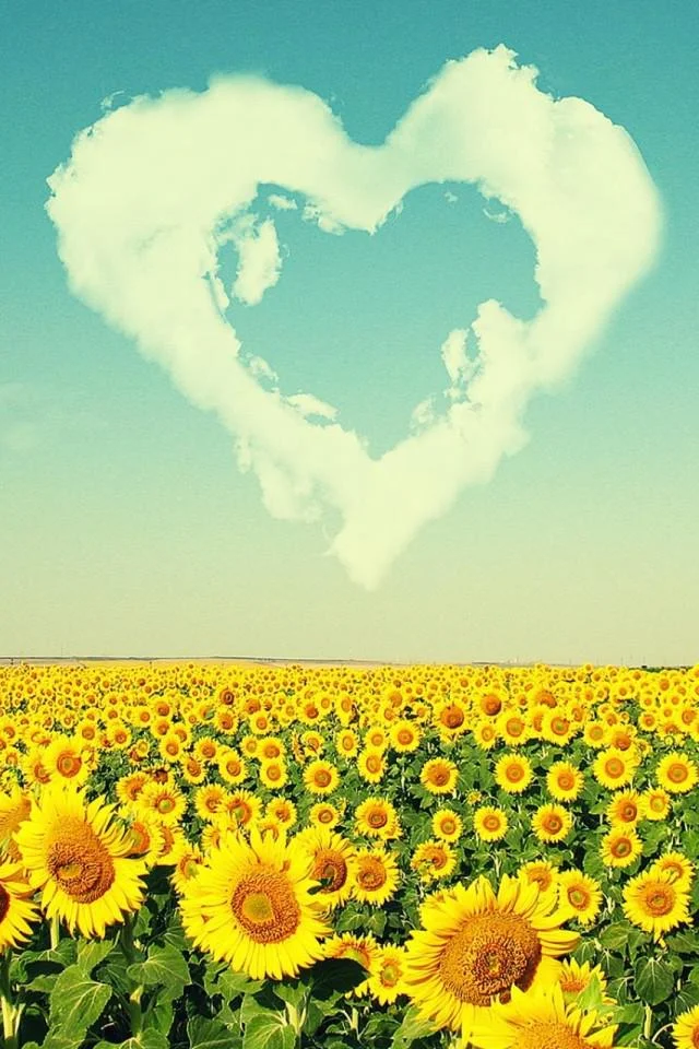 浪漫的手机卡名称大全：揭秘那些令人心动的命名艺术与选择技巧