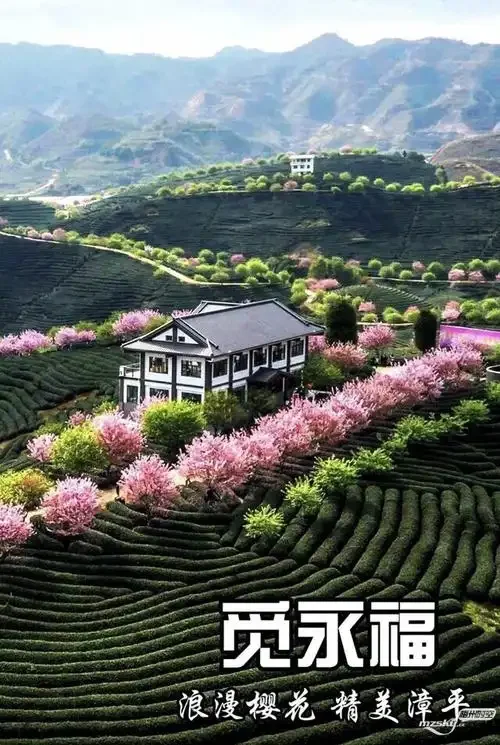 龙岩手机卡哪个好用？2024年本地用户实测对比与选卡指南