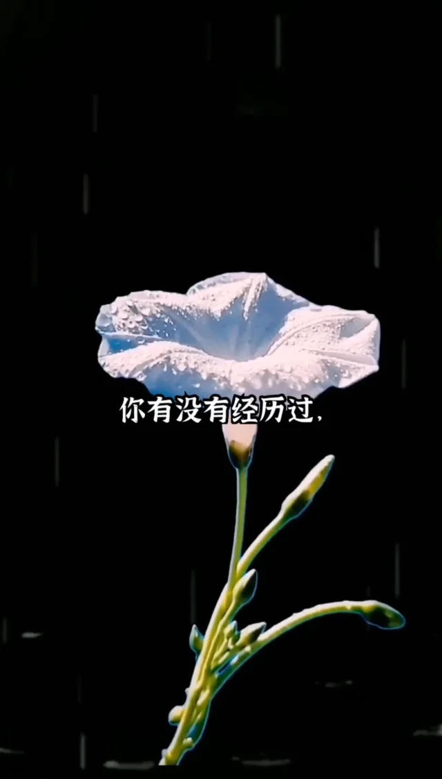 梦见手机卡给人用了的心理暗示与生活预兆解析，梦境与现实关联探究