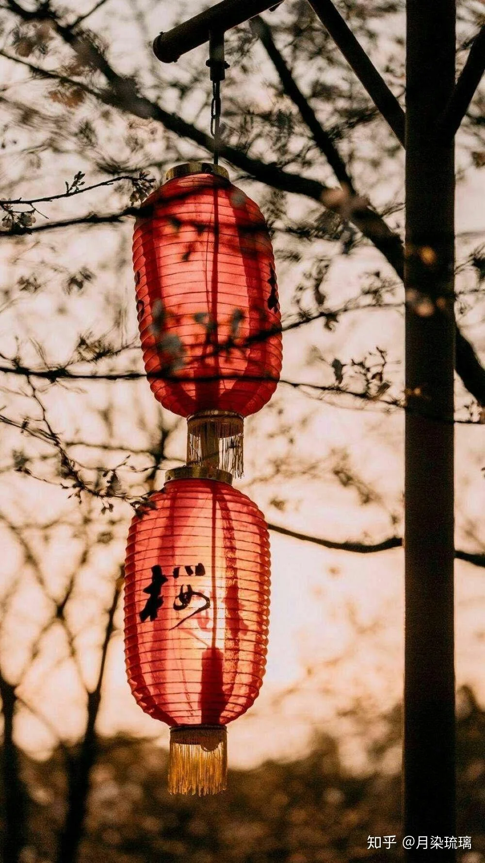 网络手机卡知乎百科，全面解析线上办卡优势与避坑指南