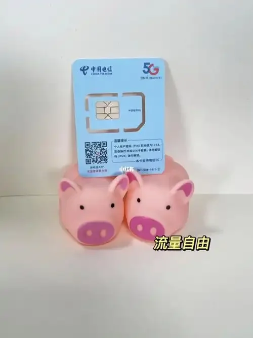 文登电信手机卡办理指南：套餐选择与信号覆盖全解析