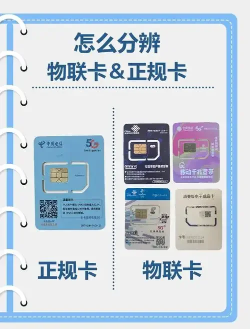 手机卡的副卡是无限流量吗？深入解析副卡流量共享机制与使用限制
