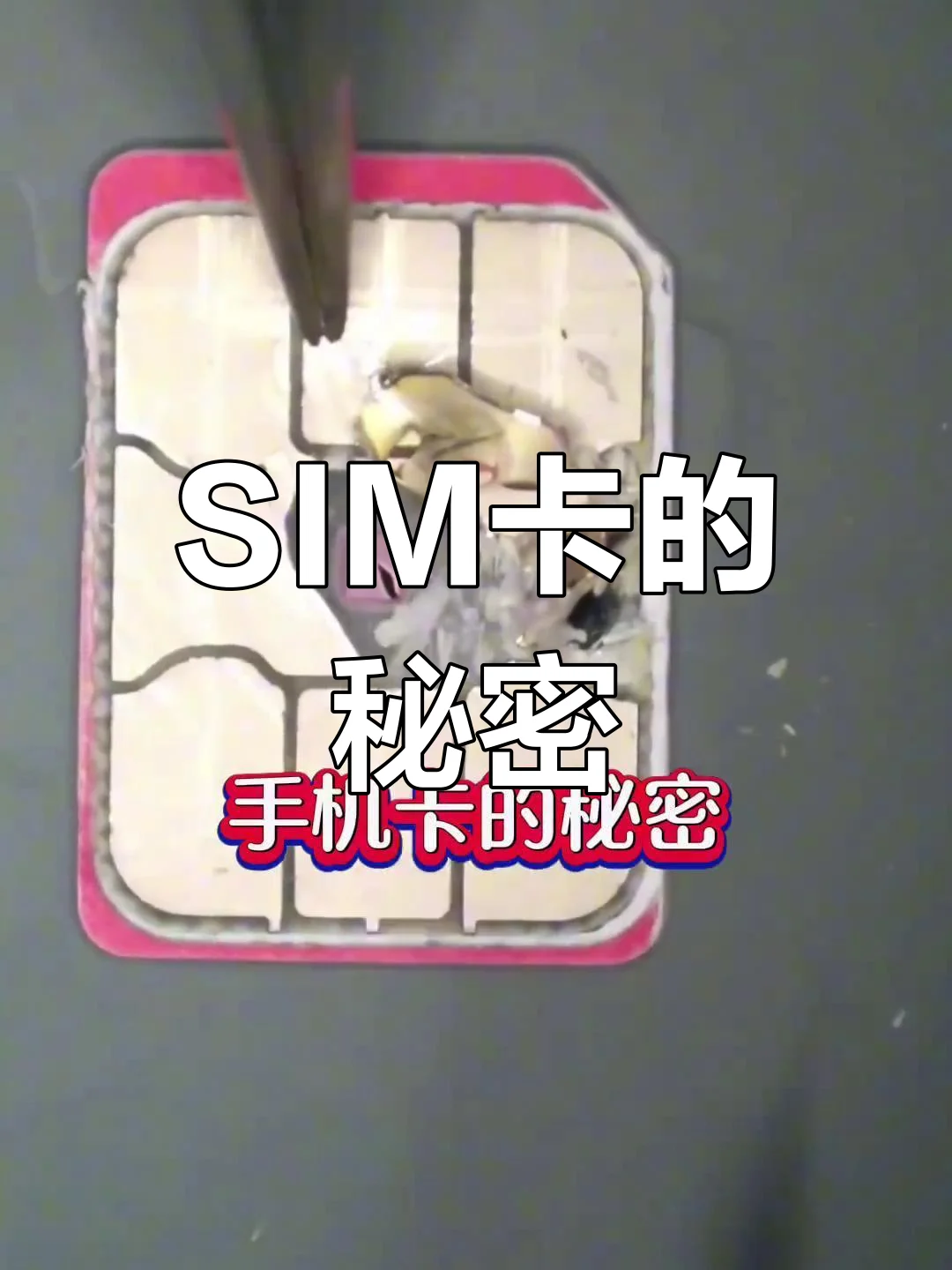 手机卡用什么可以破坏了？揭秘常见损坏方式与防护措施指南