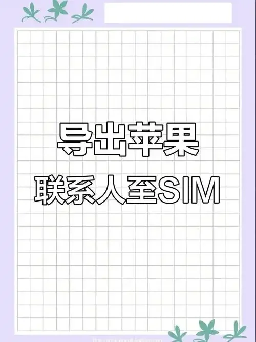 手机通讯录如何安全高效地导入手机卡？详细操作指南