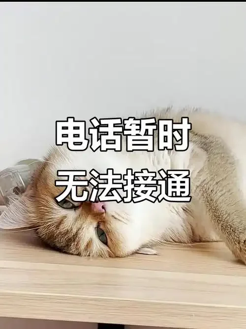 手机卡突然无法打电话暂停服务如何快速解决常见问题排查指南